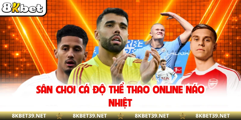 Sân chơi cá độ thể thao online náo nhiệt